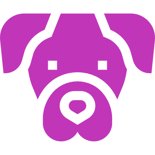 veterinaria-collbaix-socializacion