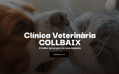 Descobreix la nostra nova web!