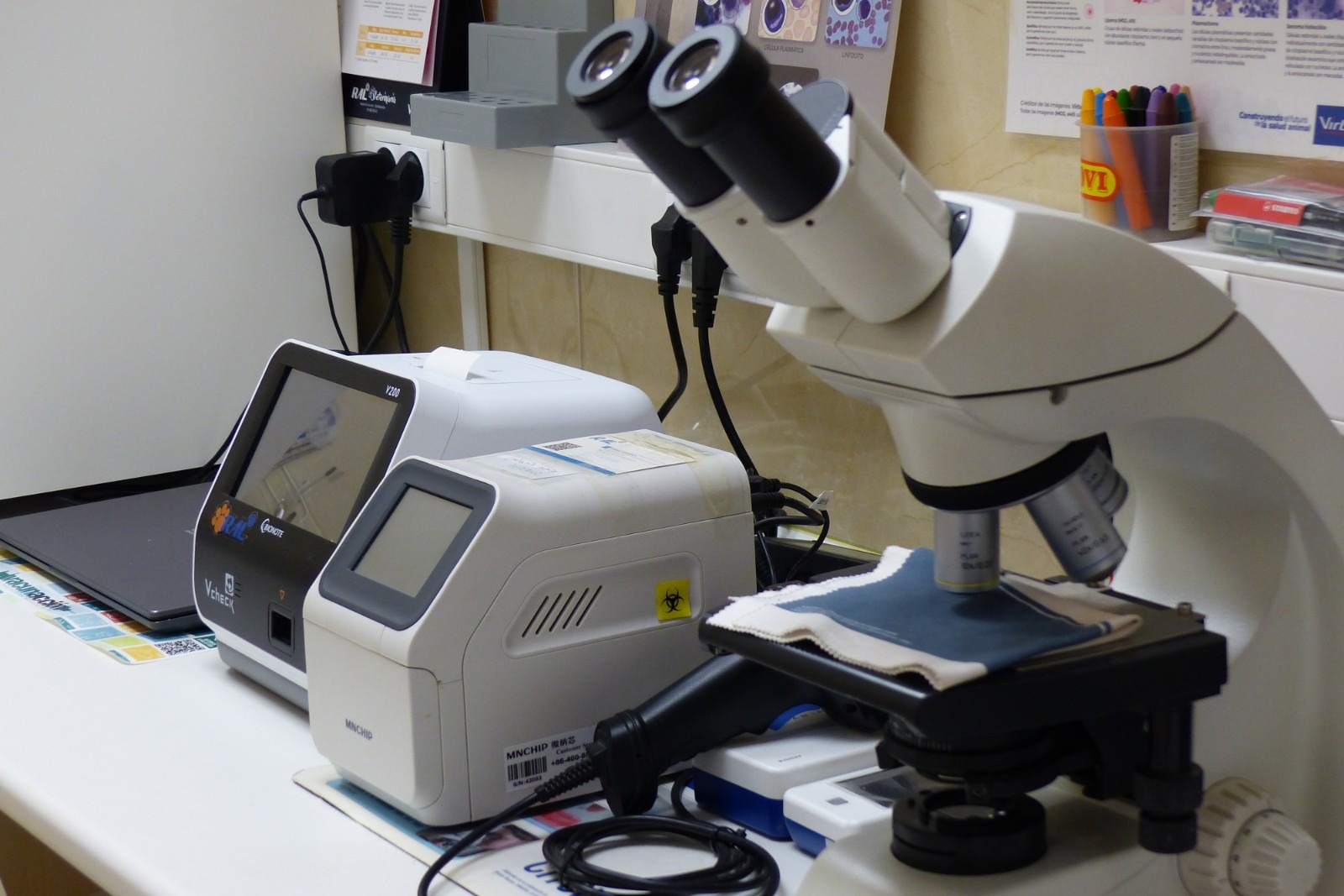 equipo cualificado Veterinarian performing an ultrasound on a dog
