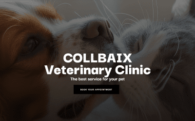 Discover our new website!