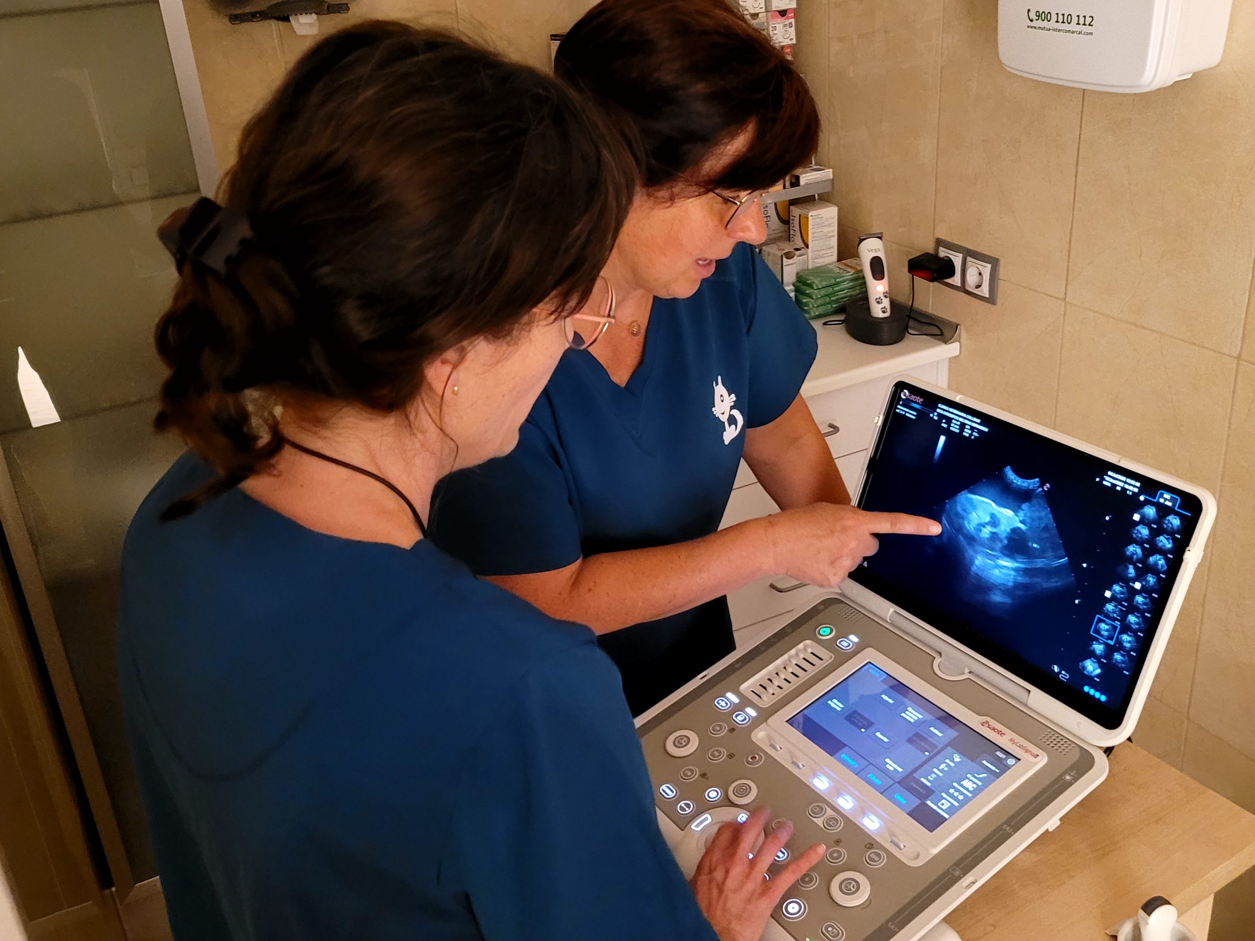 EQUIP-ALTAMENT-QUALIFICAT Veterinària realitza una ecografia a un gos
