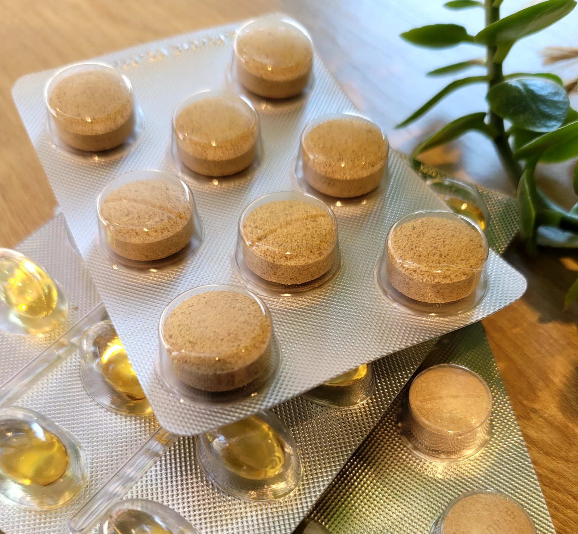 nutraceuticos Veterinari sosté amb les dues mans diverses càpsules de suplements